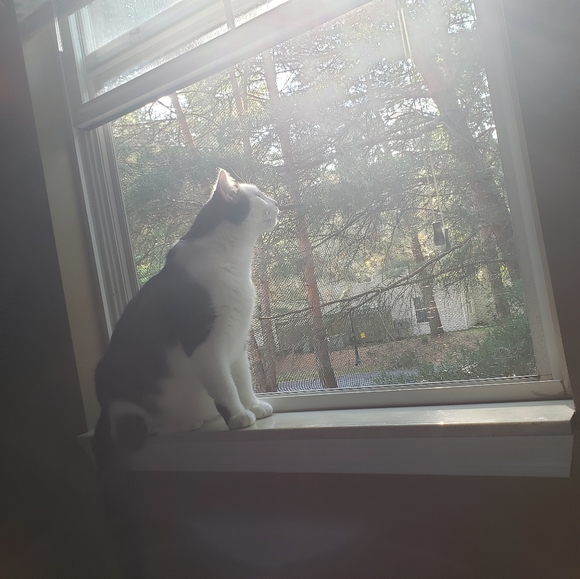 Meet your Posher🌌🌲 - Picture 14 of 16